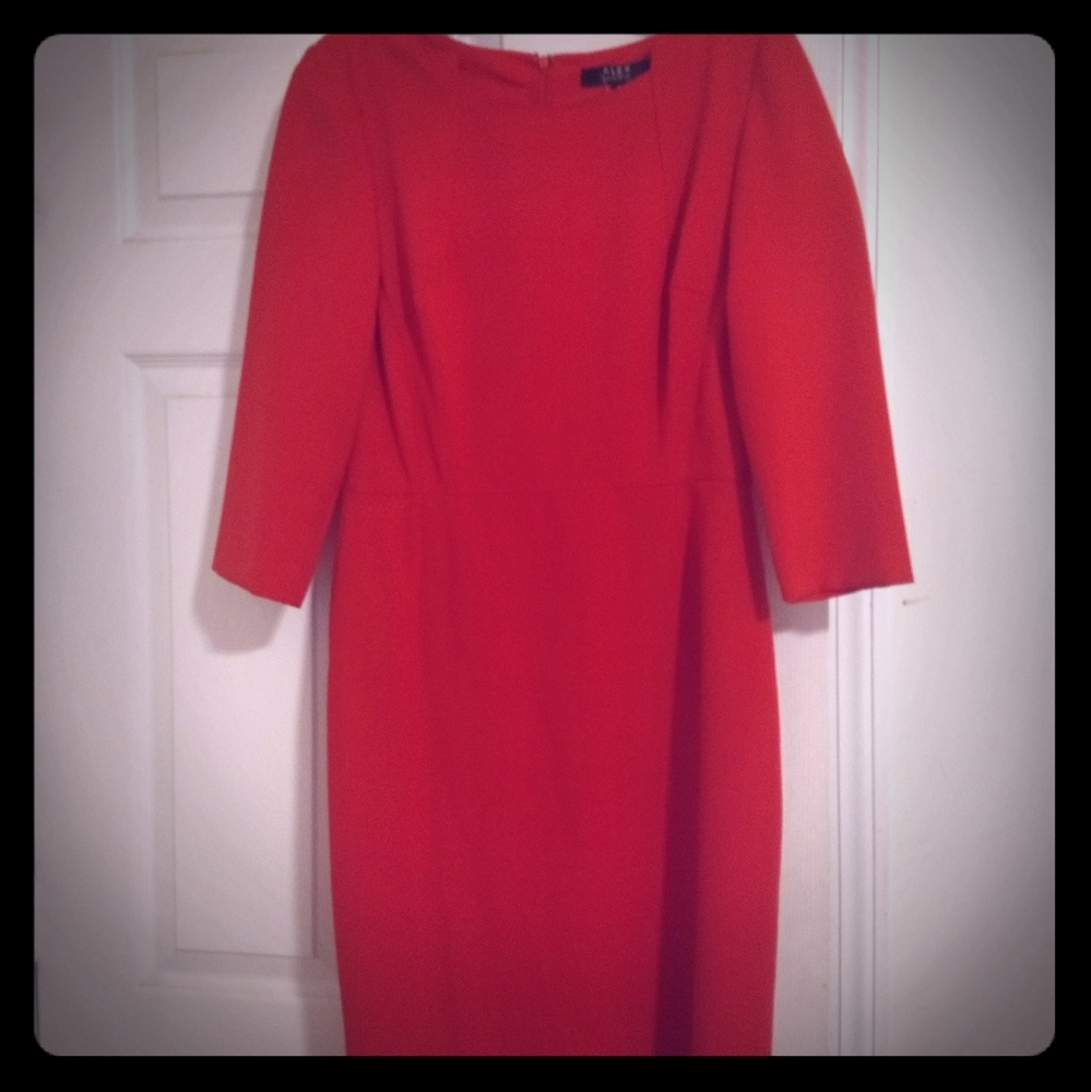Red Fitted Sheath Dress, Size 8